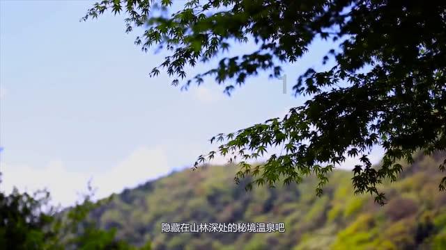 为啥小时候表现越乖，孩子长大后心理问题就越多？游戏画面