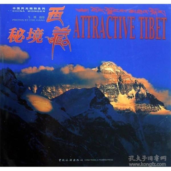 足球进球框