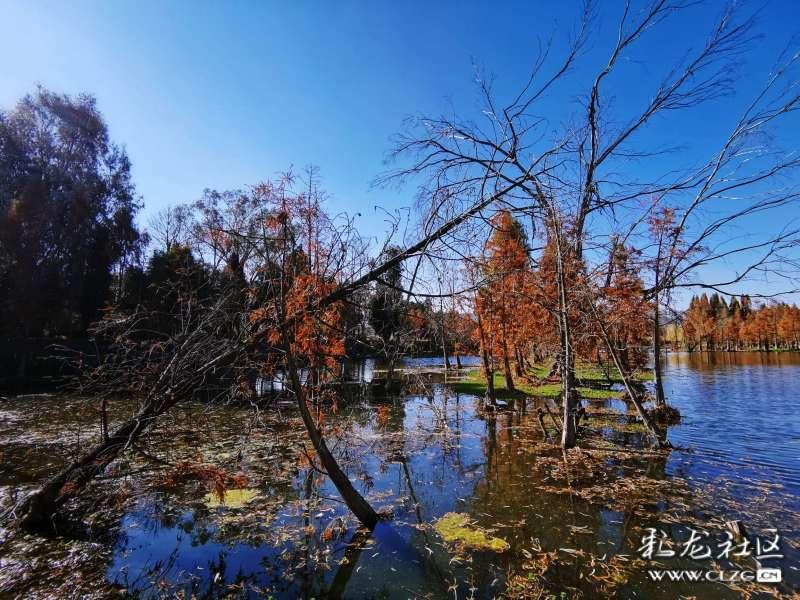 广西涠洲岛旅游跟团一周多少钱，2人去广西涠洲岛旅游7天要多少钱
