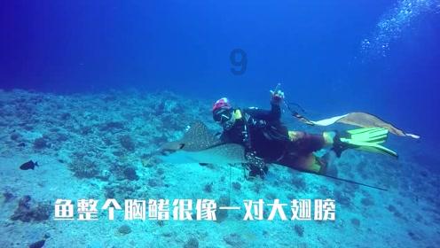 救援猎人的小孩