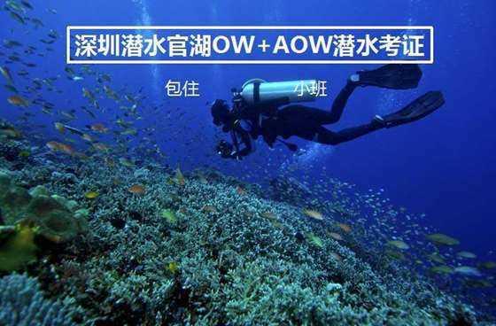 2024款lggramaipc开售，支持杜比全景声