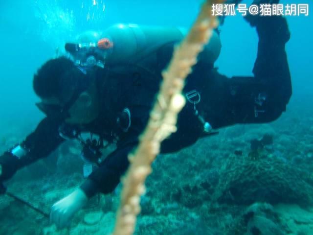 春雨直播app