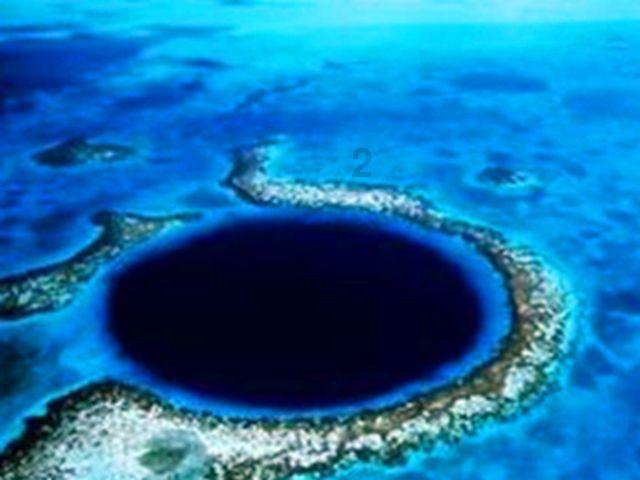 动物帮帮忙保卫家园