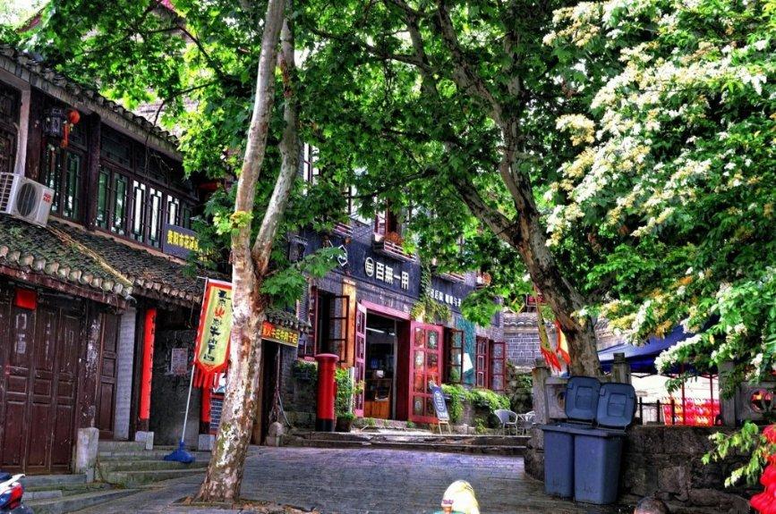 猪场怼怼乐