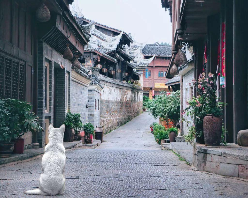 无人的神秘村