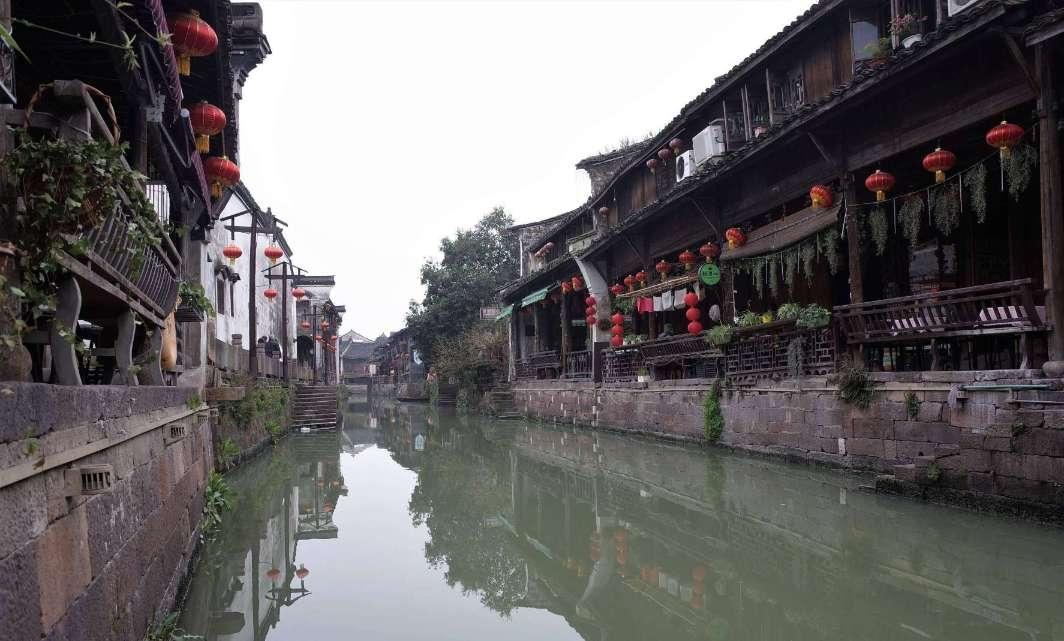 急速变色龙