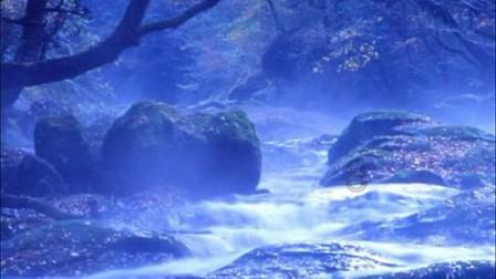 名流设计